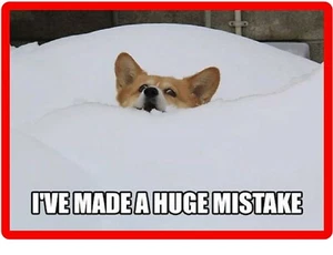   Funny Corgi Dog In Snow Refrigerator / Tool Box  Magnet - Picture 1 of 1
