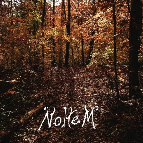 Noltem - Mannaz / Hymn of the Wood CD 2016 pagan black metal Northern Silence - Image 1 of 1