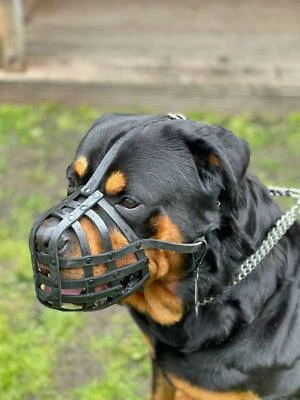 L&J PETS UK | CHAMPION Leather Dog Muzzle | fits Rottweiler & Mastiff | for all short snout dogs