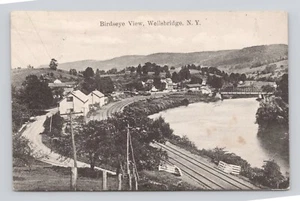 Postal Birdseye View Wellsbridge NY ~ 1911 - Imagen 1 de 2