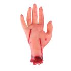 Bloody Horror Scary Halloween Prop  Severed  Size Arm Hand House 19 X6728