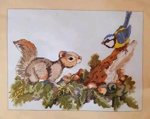 Vintage Anchor Border Fine Arts Cross Stitch Kit Baby Squirrel & Blue Tit - Picture 1 of 6