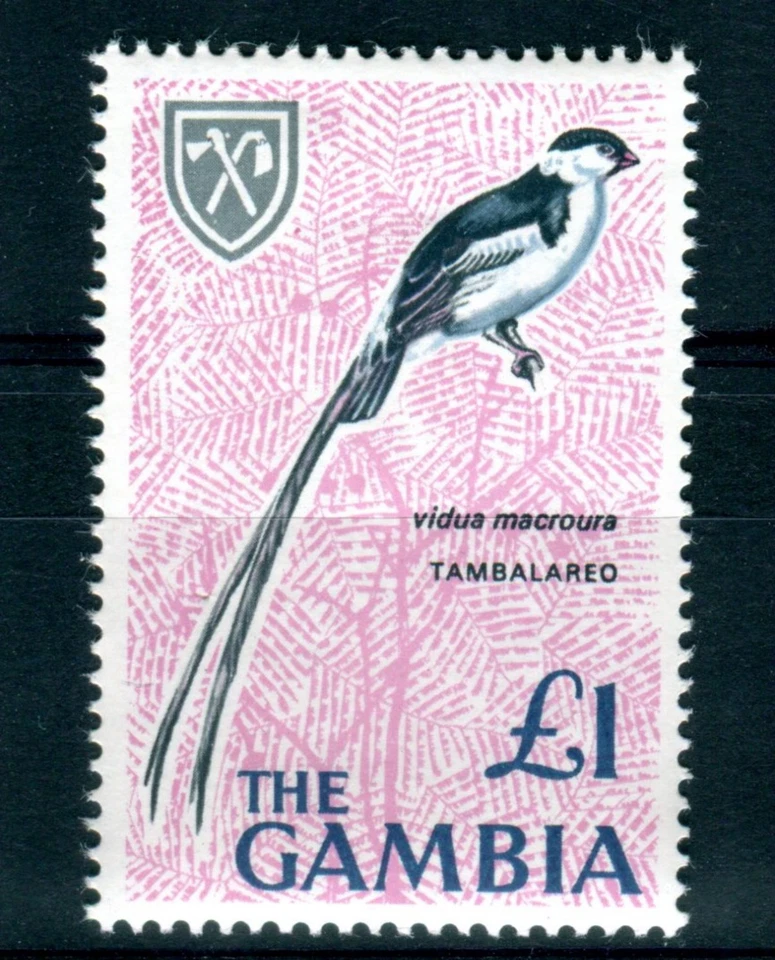 1966 Gambia £1 Bird Pin-tailed Whydah (Vidua Macroura) Mint Stamp - image 1 of 1