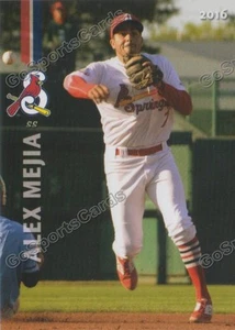 2016 Springfield Cardinals Alex Mejia RC Rookie St Louis - Picture 1 of 1