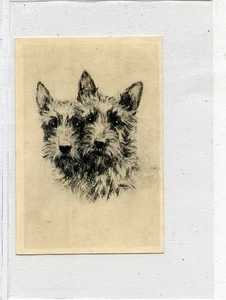 (Gd5527) Lambert & Butler, Overseas, Etchings of Dogs, Large #24, 1928 EX - Picture 1 of 4