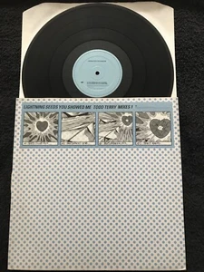 Lightning Seeds - You Showed Me (Todd Terry Mixes 1) 4 Track 12'' Vinyl PROMO NM - Imagen 1 de 8