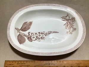 ANTIGUO PLATO DE PE ESTÉTICO DE CREMA WEDGWOOD 11 pulgadas x 8 pulgadas “Flor Sepia” - Imagen 1 de 7