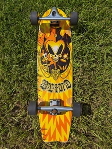 Blind Complete Cruiser Skateboard - Jester Skull Art - Rare And Hard To Find - Bild 1 von 6
