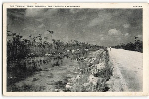 Der Tamiami Trail durch die Florida Everglades Vintage Postkarte VPC2. - Bild 1 von 2