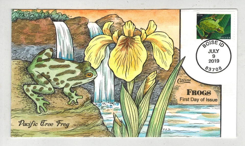 Ranas Scarce Collins 2019 pintadas a mano Idaho Pacific Tree Frog Foto 1 de 1