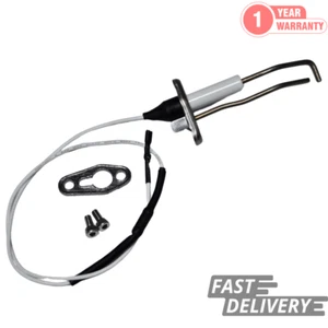 Biasi BI1363103 Zündelektrode - Inovia / Advance Plus - Bild 1 von 4