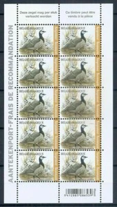 Belgium-BARNACLE GOOSE-Branta leucopsis-RARE Sheetlet 10 stamps-Buzin BIRDS-2020 - Picture 1 of 1