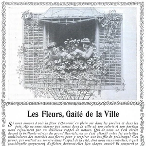 Les fleurs, gaîté de la ville - Article de presse 1905 - Picture 1 of 4