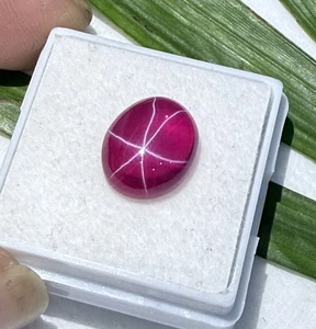 Certified 7.35 Ct Natural Vietnam Star Ruby 12.0x9.8 mm Oval 6-Ray Gemstone - Picture 1 of 7