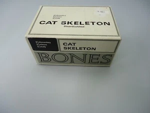 cat skeleton parts vintage - Picture 1 of 4