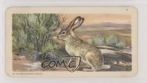 1962 Brooke Bond Red Rose Animals of North America Series 2 Tea #18 0o9