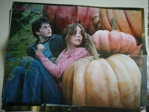 POSTER HARRY POTTER DELLA GAZZETTA DEI MAGHI E DELLE STREGHE - HARRY POTTER 5 - Imagen 1 de 2