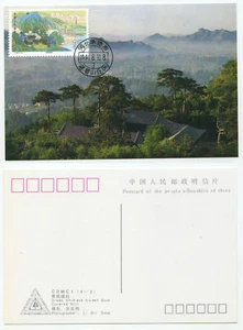 12606 - chinesische Maximumkarte - 8.10.1991 - Green Chinese Sweet Gum Hill - Bild 1 von 1