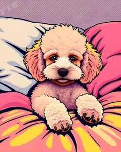 Pudel schläft im Bett Pop Art 8 x 10 Druck - Bild 1 von 1