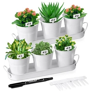 6 Sets Indoor Herb Garden Planter Metal Windowsill Plant Herb Pots with Drain... - Picture 1 of 7