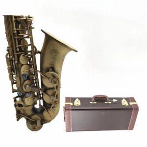 Alto Saxophone 54 Antique Copper Plated E-flat sax With Mouthpiece Free Ship - Picture 1 of 9