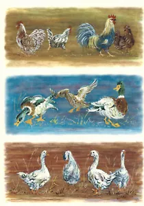 Decals - DC-0137 - Einbrenndekore für Keramik / Porzellan - Hühner/Enten/Gänse - Bild 1 von 1