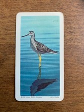 BROOKE BOND RED ROSE TEA CARDS - SERIES 4 - BIRDS OF NORTH AMERICA