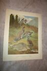 Pidgeon Grouse And Mountain Quail Vintage Lithograph By Lynn Bogue Hunt 1944