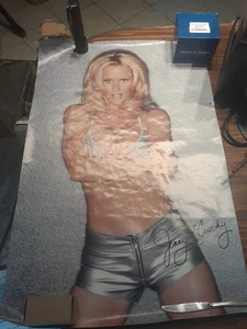 Póster vintage de Jenny McCarthy 1996 23 X 35 - Imagen 1 de 12