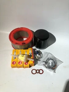 CHG1501 Reliant Rialto, Robin, Service Kit, Air/Oil FIlter, Plugs, Etc - Picture 1 of 1