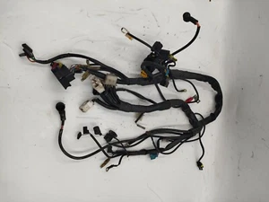 Câblage Électrique - CAGIVA RAPTOR 125 Année De 2007 À 2015 - Bild 1 von 5