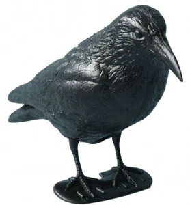 3er Set Taubenschreck Lebensechter RabeTaubenabwehr Vogelschreck Vogelabwehr - Bild 1 von 3