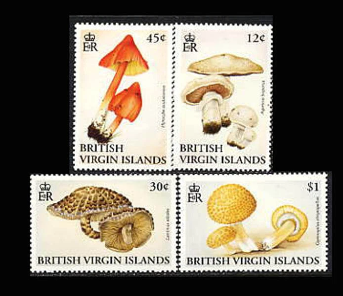 VIRGIN IS, Sc #737-40, MNH, 1992, hongos, setas, agricultura Foto 1 de 1