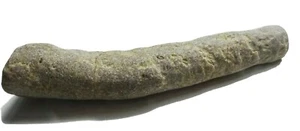 fosil de rama de pino fosilizada - 5 cm - Imagen 1 de 5