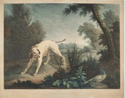 F. GAMBLE (école française du XIXe s.) Chien d'arrêt - Gravure au pointillé - Photo 1/3
