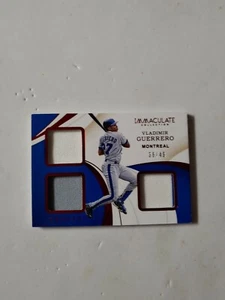Vladimir Guerrero Jersey Panani Immaculate 38/49. HOF . Fun to watch - Picture 1 of 2