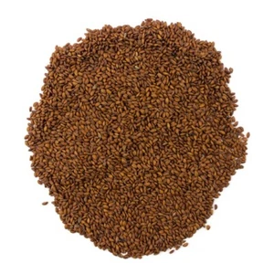 Organic Cress Seeds - Picture 1 of 8