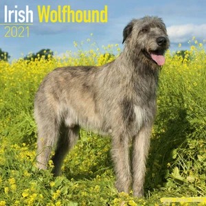 Kalender 2021 - IRISH WOLFHOUND - Bild 1 von 2