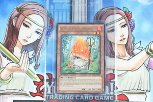 Yugioh Sylvan Komushroomo LVAL-EN016 1st Edition Rare - Picture 1 of 2