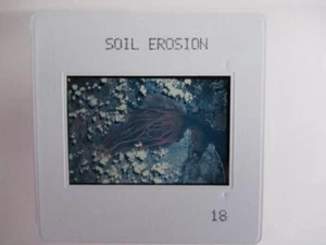 Erosión del suelo Madagascar - Tierra desde el espacio 35 mm Celuloide Tobogán - Imagen 1 de 1