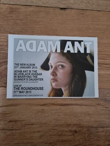 TNEWM36 ADVERT 5X8 ADAM ANT: THE NEW ALBUM - Foto 1 di 1