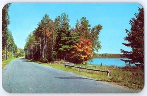 1951 Vintage Postcard Lakeside Road Autumn Scene Kodachrome Wisconsin - Picture 1 of 2