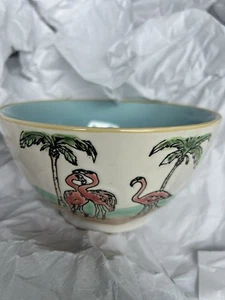 1 Spextrum Designs piccola ciotola zuppa cereali fenicottero tropicale lavastoviglie microonde - Foto 1 di 3