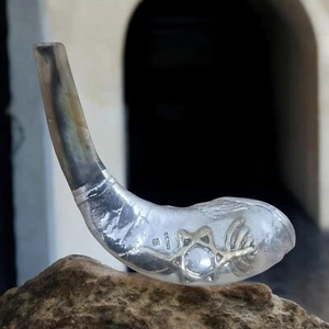 Venta para cuerno de carnero evangelista chapado en plata 925 de 13" injertado en injerto - Imagen 1 de 16