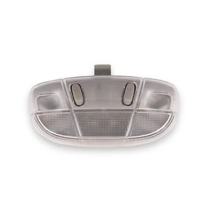 Luz de mapa de techo cúpula central gris Ford/Lincoln/Mercury 2002-2017 - Imagen 1 de 13