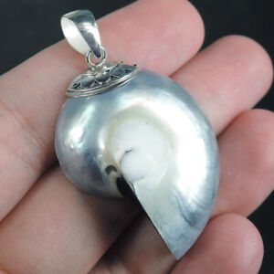 925 Sterling Silver Small Natural Nautilus Shell Pendant Jewellery, NSP-115