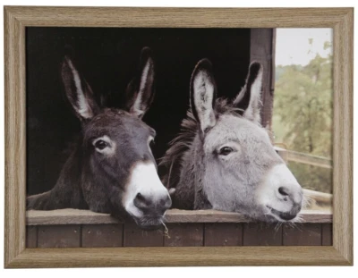 Knietablett Esel Mars&More, Schoßkissen, Laptray, Tablett, Dekoration, Geschenk - Bild 1 von 4