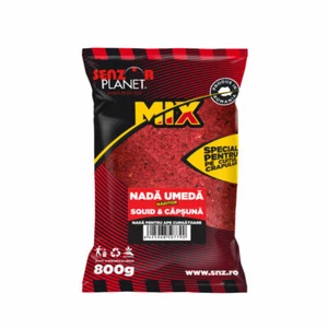 Pastura umida al calamaro e fragola – Confezione da 800 g - Bild 1 von 6