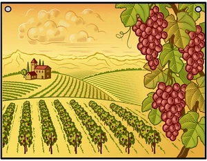 Vineyard Valley Vintage Retro Traubenfarm - Metallschild für drinnen oder draußen - Bild 1 von 1