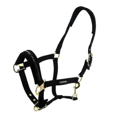 Padded Horse Halter - PONY - COB - FULL - Black - Blue -Purple - image 1 of 3